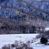 ありがとう根室本線！雪景色の下金山の小さな集落を往くキハ40を撮る！