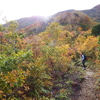 紅葉の雨飾山へ　byつじまい