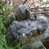 ヒナが巣立ちま近の野鳥の巣は・・・沈没寸前