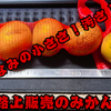 【拡散希望】コンビニ駐車場での“みかん詐欺”？父の珍事件