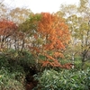 那須　姥ガ原の紅葉と南月山