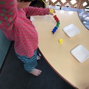 「みにくいあひるのこ」たちの成長記録