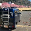 「みなみの桜🌸と菜の花まつり」ウォーキング 🏃🏃 プラスα・・・😊😊👍