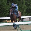【一口馬主／ラパンラピッド】復活かける復帰戦！