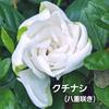 今日も暑かった