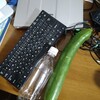 ■2025-07-13（日）また、でかいキュウリが採れた。