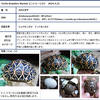 4月21日 Turtle Breeders Market 出店参加ブリーダーの紹介