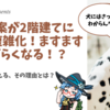 新NISA案が2階建に変更で複雑化！ますますわかりづらくなる！？しかし必要であると考える、その理由とは？