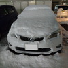 今日も雪