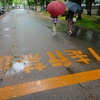 雨の京都