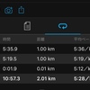 ズームフライで20km走