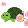 【ねこ森町】桃の節句、前日譚。