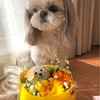 何じゃその顔は