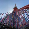 東京タワーで台湾祭と鯉のぼりを楽しみませんか