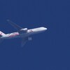 高空の、みんなのJAL2020ジェット 2号機