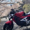 【関東日帰り】桜と山と海を楽しめるターンパイク箱根・伊豆スカイライン　春のツーリングレポート！