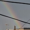ゲリラ豪雨の後の虹♪