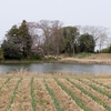 猿猴沼（宮城県名取）