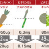 野菜の栄養は昔に比べると、どんどん下がっている！？