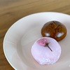 今日のおやつ「川崎の銘菓末広庵の桜和菓子」