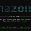 Amazon Q Developer CLI で漁師が戦うゲームを作ってみた(Windows 版)