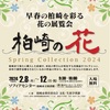 柏崎の花—Spring Collection2024（新潟県）