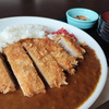 カツカレー、ここまで美味しくなった！ダーウィンも驚きの進化論