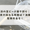 浜の宮ビーチ潮干狩り｜マテ貝の採れる時期は？海開きや駐車料金も！