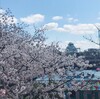 大川沿いの桜とカフェ 後編