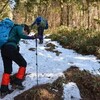 晩冬の国見山遊山　霧氷の森