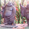 星空から見るこの星への想い