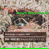 “Hours Were the Birds”――Bird Songs in Apples #004（野鳥と音楽を愛する人のためのApple Musicプレイリスト）