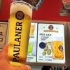 Paulaner - Pils