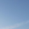 今日もお散歩