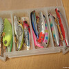 seabass lures : fall version