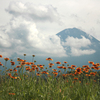 夏の富士山