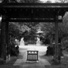 LEICA M MONOCHROM TYP246とSummicron 35mm f2 ASPH.で市川市の子安神社と八坂神社を撮ってきた