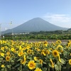 羊蹄山を望む真狩キャンプ場、Mt Yotei, Hokkaido