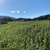 ２年ぶりの福島県