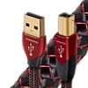 audioquest（オーディオクエスト）「USBケーブル シナモン」レビュー