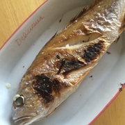 レシピ 塩焼き カテゴリーの記事一覧 今日は魚 切り身レシピ集 By 切り身ニスト すぎま レシピ 塩焼き カテゴリーの記事一覧 今日は魚 切り身レシピ集 By 切り身ニスト すぎま