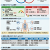 スルバシリン®（ABPC/SBT）とは？投与量・腎機能調整・使い分けを1枚で｜誤嚥性肺炎・蜂窩織炎