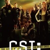 テレ東で放送された『CSI:科学捜査班』シーズン8最終回を観た。