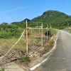 日本最西端の沈砂池（仮称）（沖縄県与那国島）