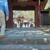 ４．１９（日・快晴）深大寺。