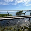 【すべて1人泊可能】2025年上半期に泊まって良かった温泉宿をエリア毎に8軒厳選した
