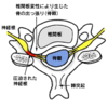 ヘルメット新調