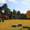 雪つり風景　　藤田記念庭園　　１０月２５日