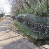 空堀川源流_野山北公園（東京都武蔵村山市）