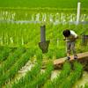 【これまでに無い昆虫食イベントするよ～＠和歌山県高野町】